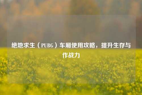 绝地求生（PUBG）车厢使用攻略，提升生存与作战力