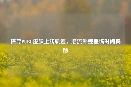 探寻PUBG皮肤上线轨迹，潮流外观登场时间揭秘