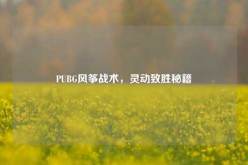 PUBG风筝战术，灵动致胜秘籍