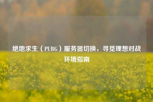 绝地求生(PUBG)服务器切换,寻觅理想对战环境指南