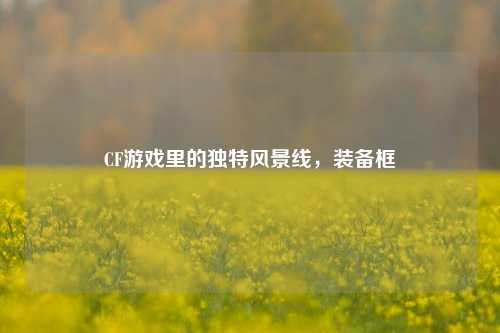 CF游戏里的独特风景线，装备框