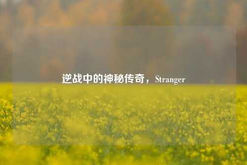 逆战中的神秘传奇，Stranger