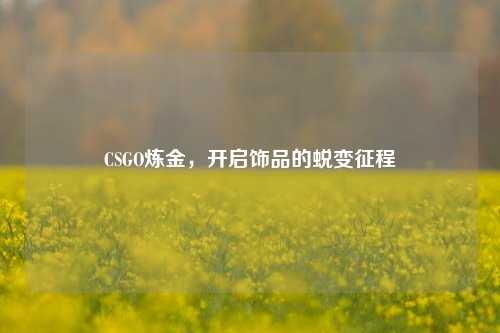 CSGO炼金，开启饰品的蜕变征程