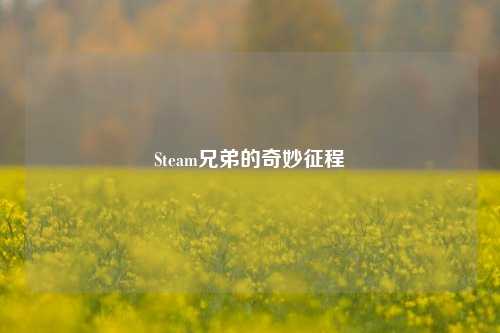 Steam兄弟的奇妙征程