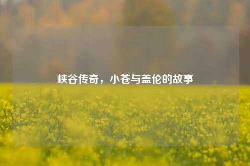 峡谷传奇，小苍与盖伦的故事
