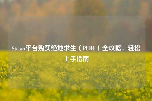 Steam平台购买绝地求生（PUBG）全攻略，轻松上手指南