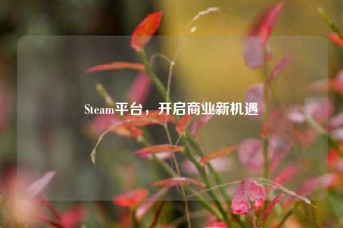 Steam平台，开启商业新机遇