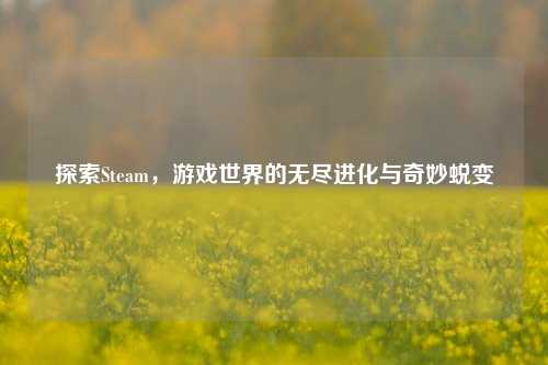 探索Steam,游戏世界的无尽进化与奇妙蜕变