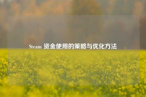 Steam 资金使用的策略与优化 ***