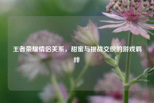 王者荣耀情侣关系,甜蜜与挑战交织的游戏羁绊