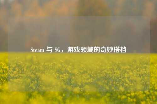 Steam 与 SG,游戏领域的奇妙搭档