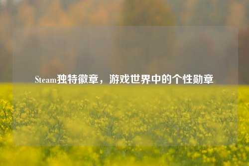 Steam独特徽章,游戏世界中的个性勋章