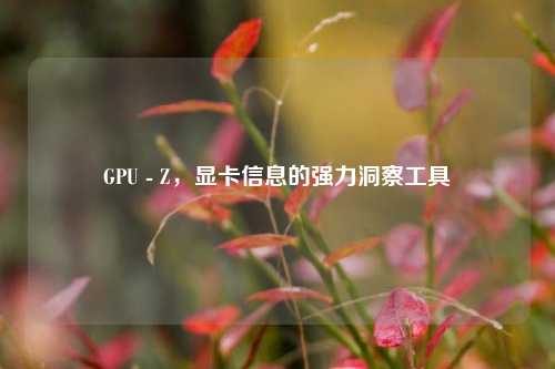 GPU - Z,显卡信息的强力洞察工具