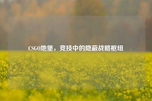 CSGO地堡,竞技中的隐蔽战略枢纽