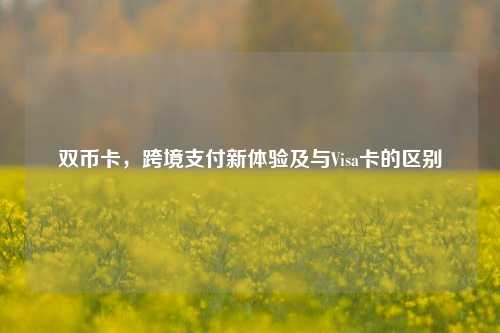 双币卡,跨境支付新体验及与Visa卡的区别
