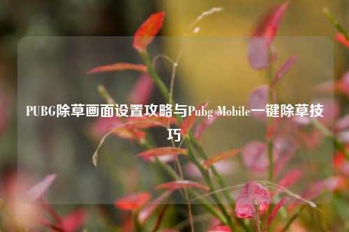 PUBG除草画面设置攻略与Pubg Mobile一键除草技巧