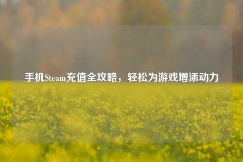手机Steam充值全攻略,轻松为游戏增添动力