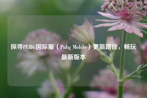 探寻PUBG国际服(Pubg Mobile)更新路径,畅玩最新版本