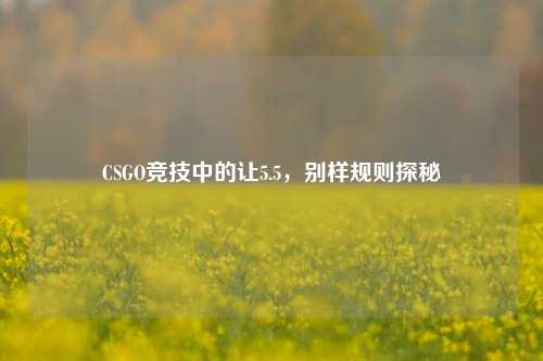 CSGO竞技中的让5.5,别样规则探秘