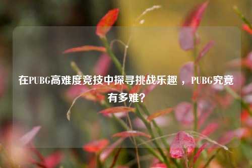 在PUBG高难度竞技中探寻挑战乐趣 ,PUBG究竟有多难?