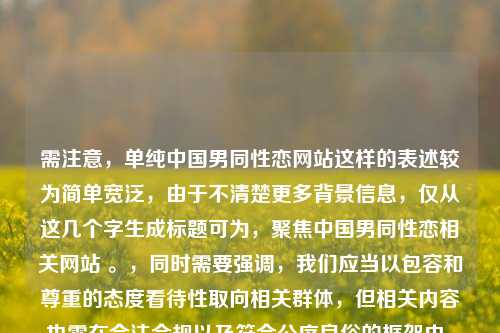 需注意,单纯中国男同性恋网站这样的表述较为简单宽泛,由于不清楚更多背景信息,仅从这几个字生成标题可为,聚焦中国男同性恋相关网站 。,同时需要强调,我们应当以包容和尊重的态度看待性取向相关群体,但相关内容也需在合法合规以及符合公序良俗的框架内。