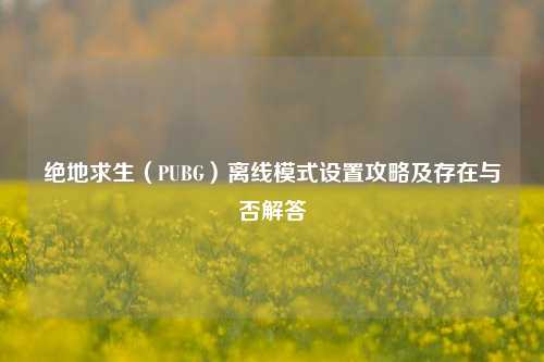 绝地求生(PUBG)离线模式设置攻略及存在与否解答