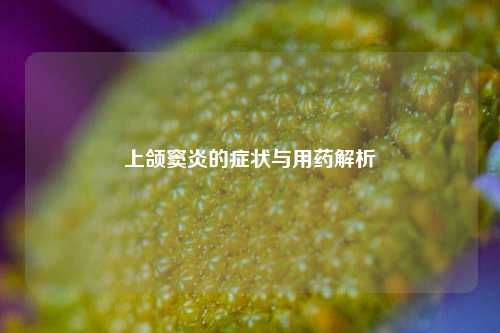 上颌窦炎的症状与用药解析