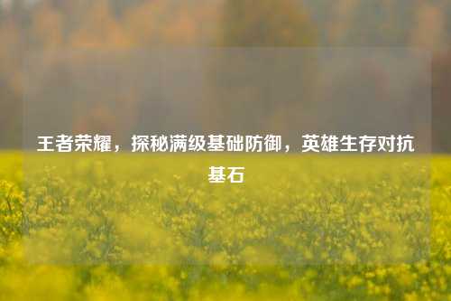 王者荣耀,探秘满级基础防御,英雄生存对抗基石