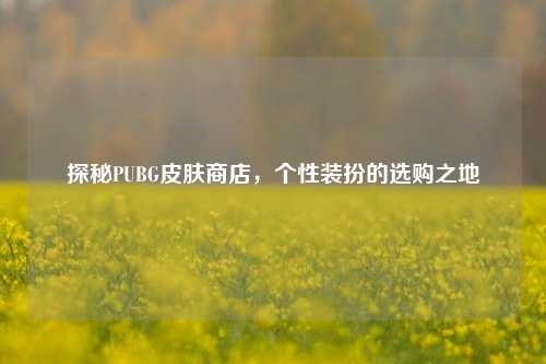 探秘PUBG皮肤商店,个性装扮的选购之地