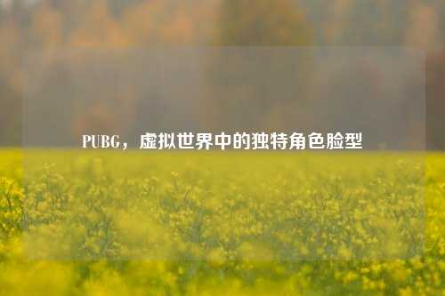PUBG,虚拟世界中的独特角色脸型