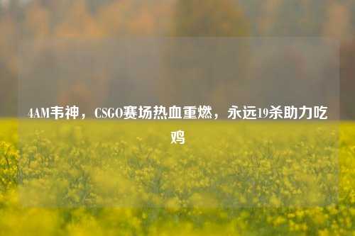 4AM韦神,CSGO赛场热血重燃,永远19杀助力吃鸡