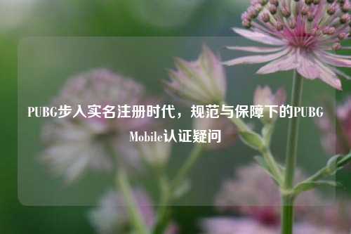 PUBG步入实名注册时代，规范与保障下的PUBGMobile认证疑问