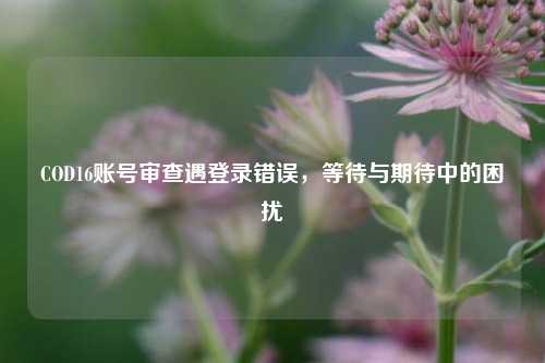 COD16账号审查遇登录错误，等待与期待中的困扰