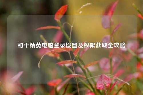 和平精英电脑登录设置及权限获取全攻略