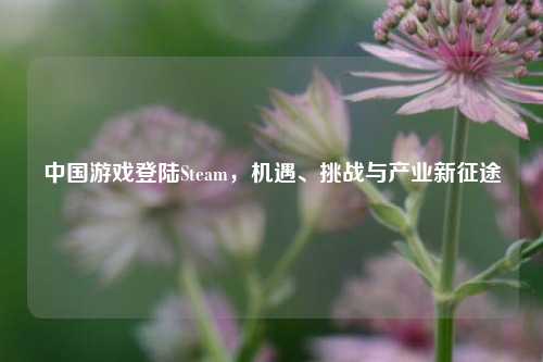 中国游戏登陆Steam,机遇、挑战与产业新征途