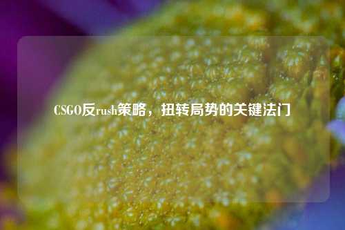 CSGO反rush策略,扭转局势的关键法门