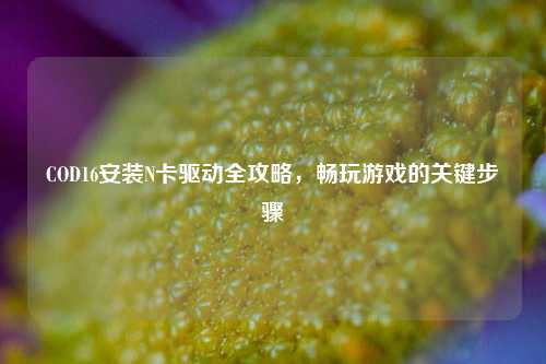 COD16安装N卡驱动全攻略,畅玩游戏的关键步骤
