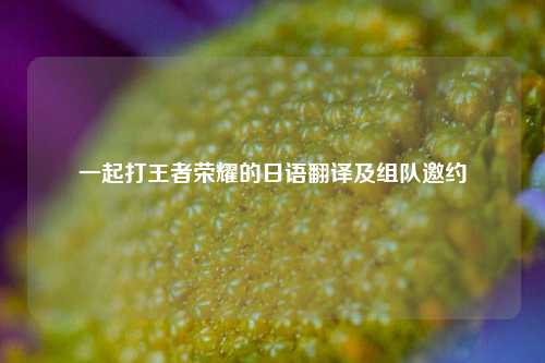 一起打王者荣耀的日语翻译及组队邀约
