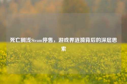 死亡搁浅Steam停售,游戏界涟漪背后的深层思索