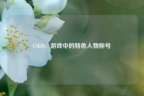 CSGO,游戏中的特色人物称号