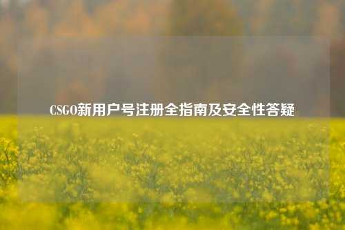 CSGO新用户号注册全指南及安全性答疑