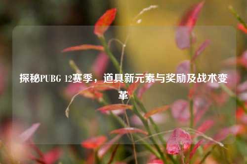 探秘PUBG 12赛季,道具新元素与奖励及战术变革