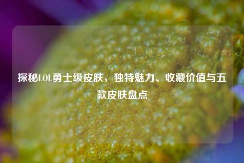 探秘LOL勇士级皮肤,独特魅力、收藏价值与五款皮肤盘点