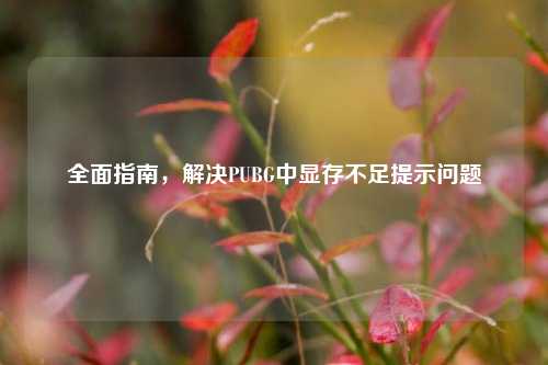 全面指南,解决PUBG中显存不足提示问题