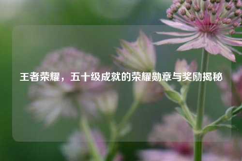 王者荣耀,五十级成就的荣耀勋章与奖励揭秘