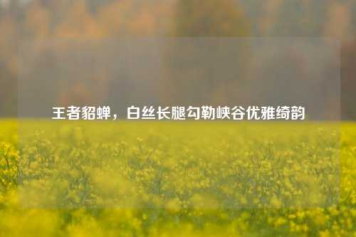 王者貂蝉,白丝长腿勾勒峡谷优雅绮韵