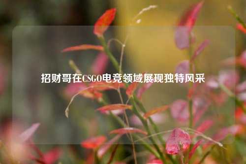 招财哥在CSGO电竞领域展现独特风采