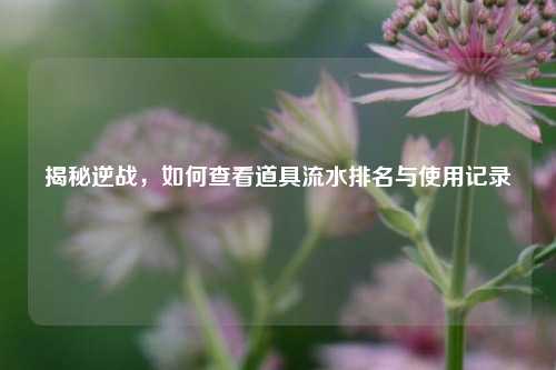 揭秘逆战,如何查看道具流水排名与使用记录