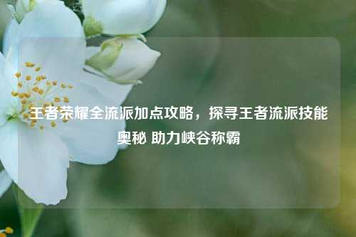 王者荣耀全流派加点攻略,探寻王者流派技能奥秘 助力峡谷称霸