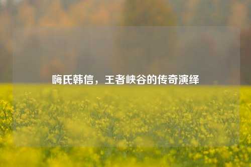 嗨氏韩信,王者峡谷的传奇演绎